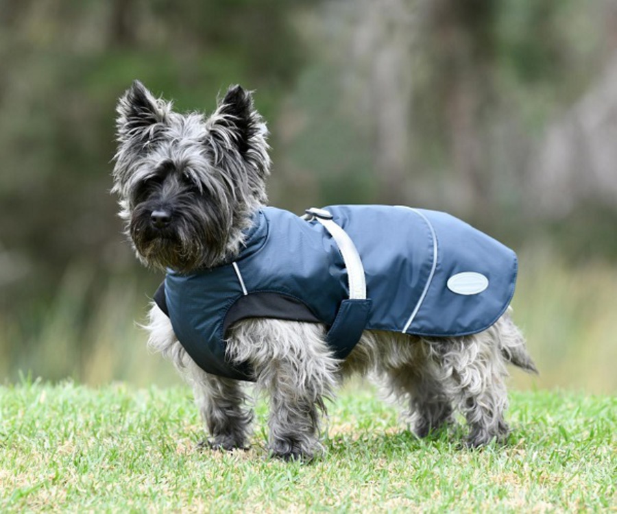 Weatherbeeta Explorer Dog Coat Medium image 0